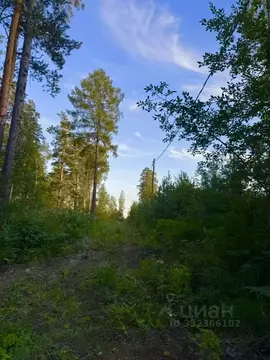 Участок в Иркутская область, Иркутский муниципальный округ, д. ...