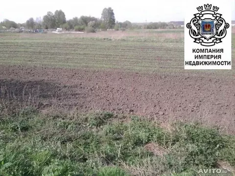 Участок в Белгородская область, Шебекинский муниципальный округ, с. ...