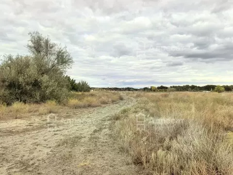 Участок в Волгоградская область, Среднеахтубинский район, Фрунзенское ...