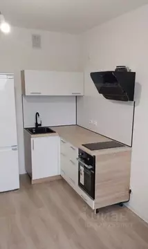 Студия Санкт-Петербург ул. Пахомовская, 8к3 (20.3 м)