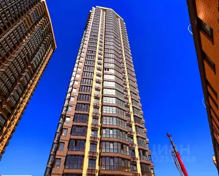 Студия Ростовская область, Ростов-на-Дону Кировский просп., 89 (24.6 ...