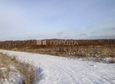 Участок в Кемеровская область, Новокузнецкий муниципальный округ, с. ...