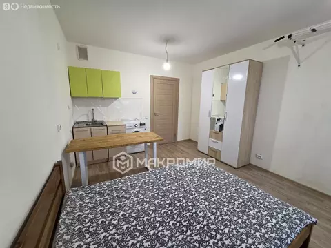 Квартира-студия: Санкт-Петербург, Северный проспект, 125 (21.4 м)