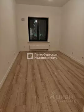 Студия Санкт-Петербург наб. Миклухо-Маклая, 3к1 (22.0 м)