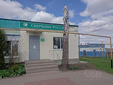 Помещение свободного назначения в Белгородская область, Красненский ...