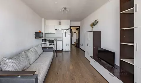 Студия Санкт-Петербург просп. Энергетиков, 11к2 (25.1 м)