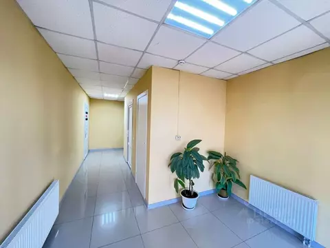 Торговая площадь в Краснодарский край, Краснодар Пашковский жилмассив, ...