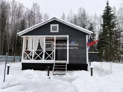 Дом в Ленинградская область, Лужский район, Мшинское с/пос, Мшинская ...