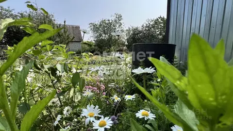 Дом в Курская область, Курск Ветеран 1 СНТ, 351 (30 м)