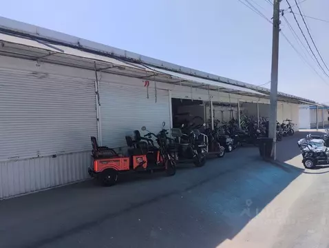 Помещение свободного назначения в Краснодарский край, Калининская ...