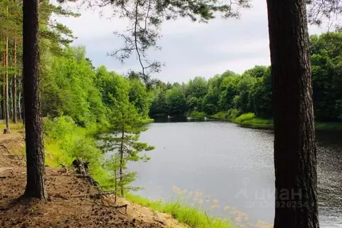Участок в Нижегородская область, Семеновский муниципальный округ, д. ...