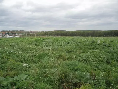 Участок в Тюменская область, Тюменский район, с. Кулига Заречная ул., ...