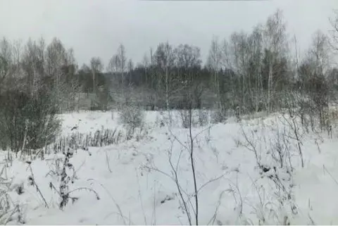 Участок в Московская область, Чехов муниципальный округ, д. Голыгино  ...