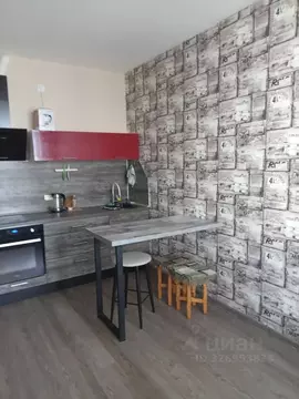 Студия Санкт-Петербург просп. Народного ополчения, 149 (26.0 м)