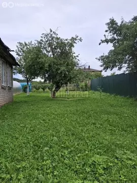 Участок в деревня Корта, Лесная улица, 25 (8 м)