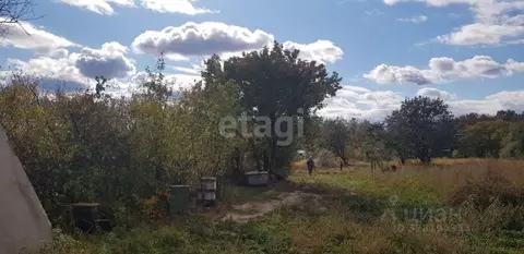 Участок в Амурская область, Благовещенск  (7.7 сот.)