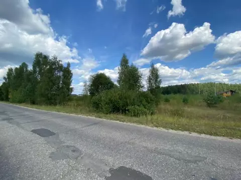 Участок в Ивановская область, Ивановский район, Новоталицкое с/пос, д. ...