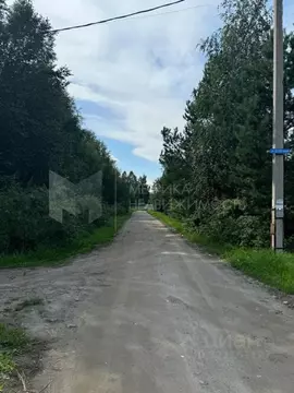 Участок в Тюменская область, Нижнетавдинский район, Моторостроитель ...