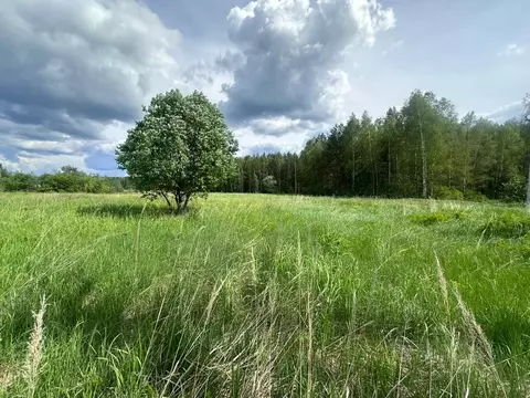 Участок в Московская область, Богородский городской округ, д. Тимково  ...