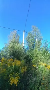 Участок в Владимирская область, Владимир ул. Большая Лукинская, 16 ...