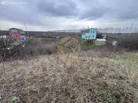 Участок в Губкин, улица Лизы Чайкиной, 2 (5.52 м)