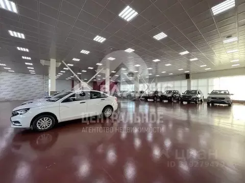 Помещение свободного назначения в Новосибирская область, Новосибирск ...