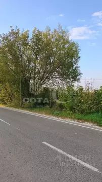 Участок в Воронежская область, Семилукский район, Девицкое с/пос, пос. ...