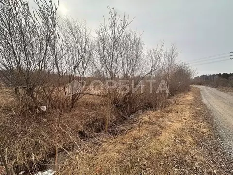 Участок в Тюменская область, Тюменский район, пос. Новотарманский ...