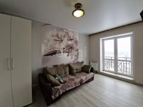 Студия Московская область, Дмитров ул. Спасская, 6А (29.3 м)