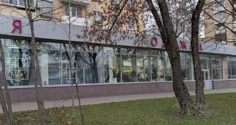 Помещение свободного назначения в Москва просп. Мира, 131К1 (44 м)