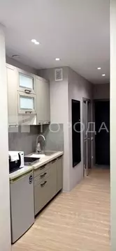 Студия Новосибирская область, Новосибирск ул. Прибрежная, 6 (40.0 м)