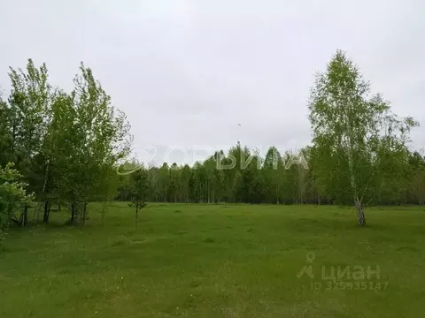 Участок в Тюменская область, Нижнетавдинский муниципальный округ, ...