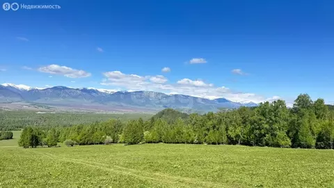 Участок в Усть-Коксинский район, село Мульта (310.01 м)