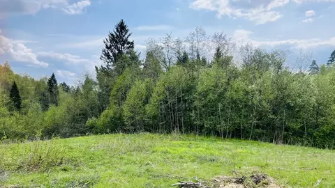 Участок в Московская область, Пушкинский городской округ, д. Алешино ...