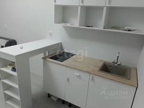 Студия Мордовия, Саранск ул. Анны Лусс, 7В (21.0 м)