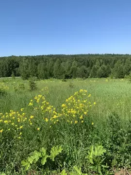 Участок в Пермский край, Пермский район, Усть-Качкинское с/пос  (590.0 ...