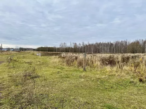 Участок в Нижегородская область, Дальнеконстантиновский муниципальный ...