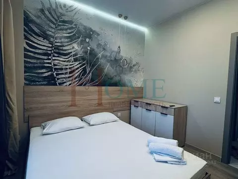 1-к кв. Новосибирская область, Новосибирск Трудовая ул., 15 (33.0 м)