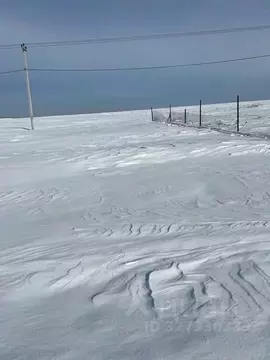 Участок в Московская область, Луховицы муниципальный округ, с. Городна ...