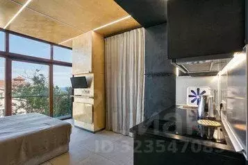 1-к кв. Крым, Ялта муниципальный округ, Симеиз пгт ул. Красномаякская, ...