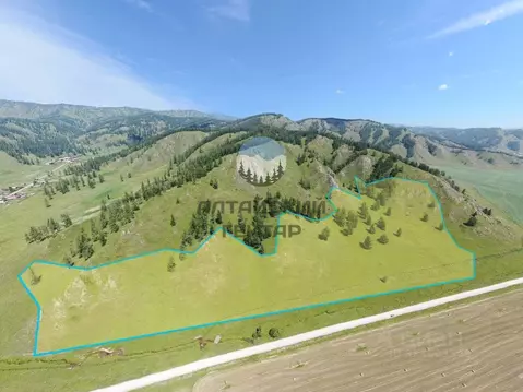 Участок в Алтай, Усть-Коксинский район, с. Карагай  (100.0 сот.)