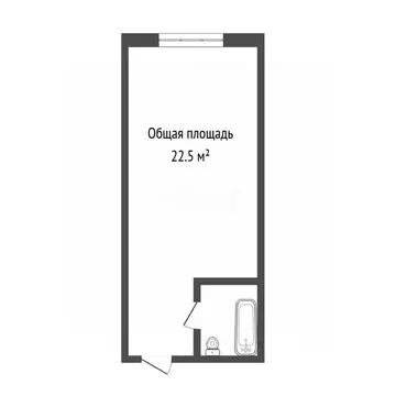 Студия Кемеровская область, Кемерово Ленинградский просп., 24 (22.3 м)