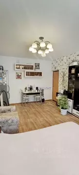 Комната Нижегородская область, Нижний Новгород просп. Ильича, 24 (19.1 ...