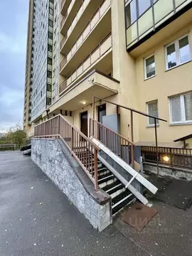 Студия Ленинградская область, Мурино Всеволожский район, аллея ...