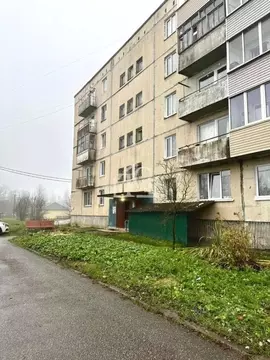 2-к кв. Ленинградская область, Волосовский район, Рабитицкое с/пос, д. ...