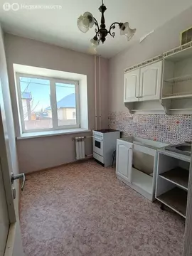 1-комнатная квартира: посёлок городского типа Петра Дубрава, Восточный ...