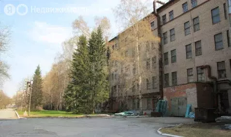 Производственное помещение (19623.5 м)