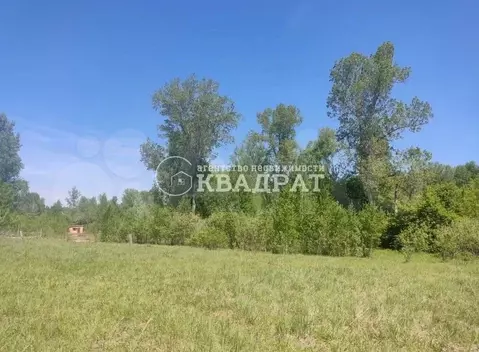 Участок в Алтай, Майминский район, пос. Дубровка ул. Сафронова (10.1 ...