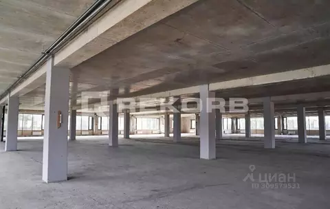 Офис в Санкт-Петербург Выборгское ш., 12 (6062 м)