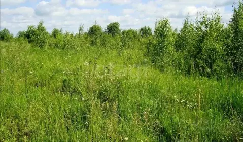 Участок в Ростовская область, Ростов-на-Дону Бетонный пер. (4.0 сот.)